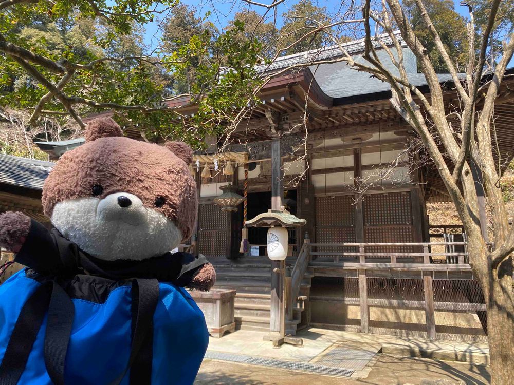 こんにちは、カワミちゃんだよ。今日はおとうさんとおかあさんに連れられて、大阪府高槻市のお寺に行ってきたよ。おかあさんはおみくじを引いたけど、また大吉だったよ。うちのおかあさん、毎回大吉引いてるんだよね。あったかくてお花がいっぱい咲いていたよ。写真はこぶしかなあ？木蓮にしては少し小さめのような気がするなあ。