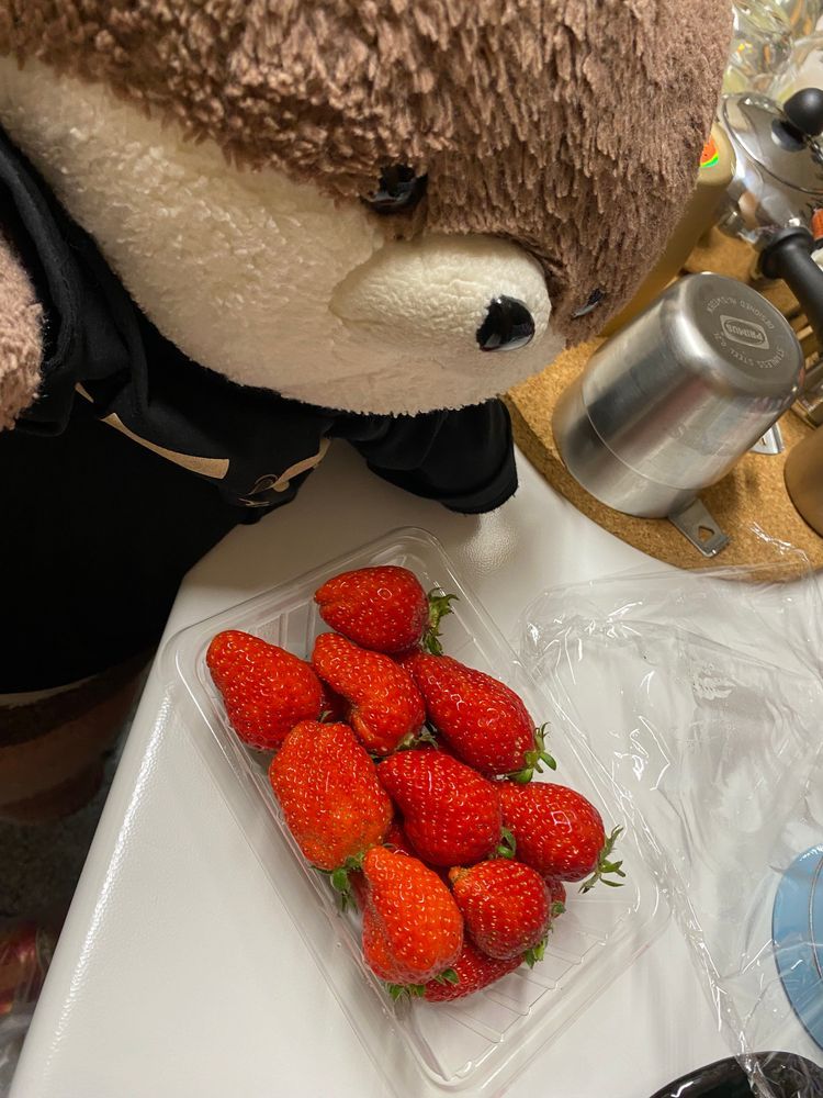 こんばんは、カワミちゃんだよ。おかあさんがまたロイズのチョコをたくさん買ってくれたよ❣️期間限定に弱いから気になるやつをたくさん買ったんだって。二枚目はおとうさんが買ってきたイチゴだよ。どちらも一瞬でなくなりそうだなあ。