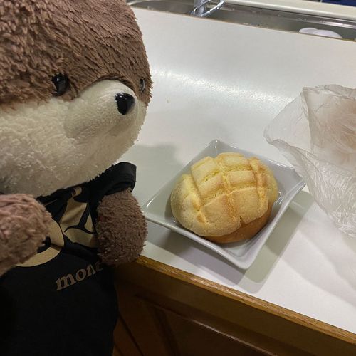こんばんは、カワミちゃんだよ。今日はおねえちゃんがメロンパンを作ってくれたよ❣️あまりに上手にできているから、おかあさんは買ってきたやつだと思ったらしい🤣さっき食べたけどクッキー生地がサクサクしてて、めちゃおいしかったよ☺️