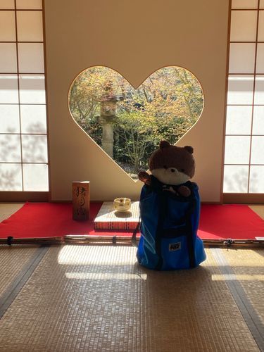 カワミちゃんだよ。ハートの窓のあるお寺に行ってきたよ。まだ４月半ばなのに、既にシャクナゲが咲いていてびっくりしたよ。八重桜とシャクナゲが同時に見られるとは…🌸