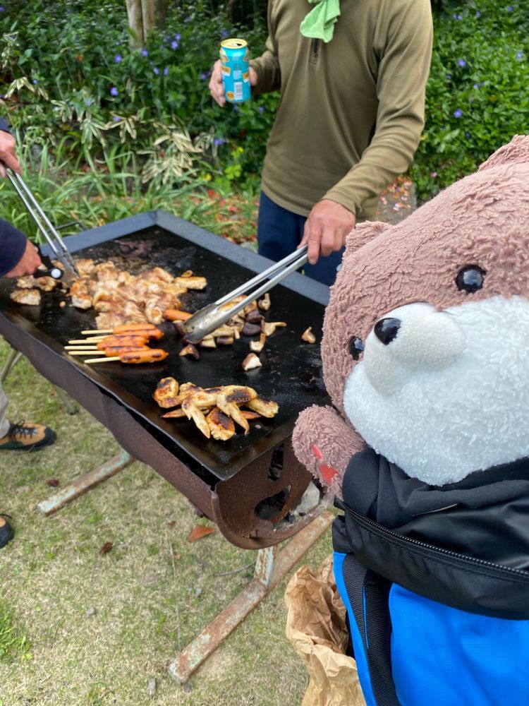 こんばんは、カワミちゃんだよ。今日はご近所に藤棚があるお宅があって、バーベキューにお呼ばれしてきたよ🥩立派な藤の枝でびっくりしたよ☺️いつもケーキを持ってきてくれるおじさんも参加したよ❣️