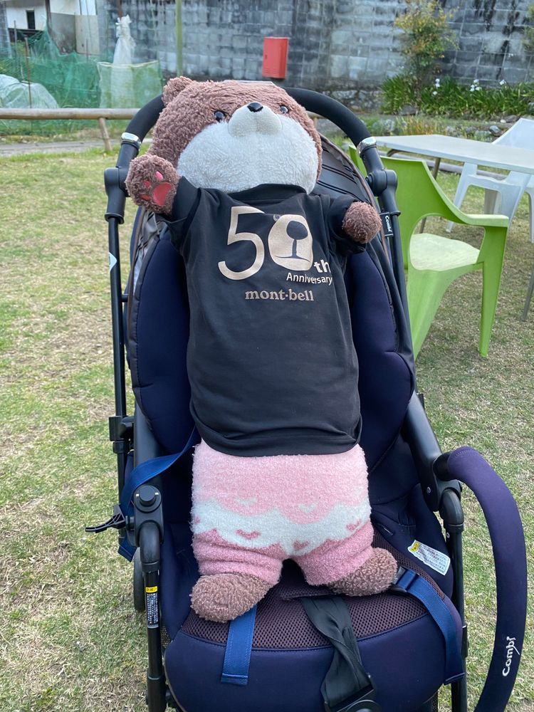 昨日の藤棚バーベキューの続きだよ。この家には小さなお子さんがたくさんいて、カワミちゃんは赤ちゃんをあやしてあげたよ。うちのおかあさんが抱っこしたら赤子は大泣きしていたけどね…。
勝手にベビーカーに乗ったけど、特に怒られるどころか、赤ちゃんのお父さんに「ベルト締めます？」と聞かれたよ‼️🤣
