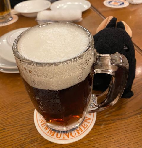 みなさんこんばんは、フトちゃんです。これは昨日、大阪の曽根崎って所でおかあさんの職場の飲み会があったのでついて行ったフトちゃんです。機嫌良くビールを飲んでたら、突然地震で結構揺れたんだ🫨周りのスマホも緊急地震速報がビービー鳴ってビックリしたよ💦大事には至らなくてよかったよ…