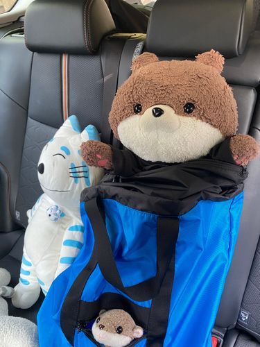 こんにちは、カワミちゃんだよ。今から旅行に出かけるよ🚗