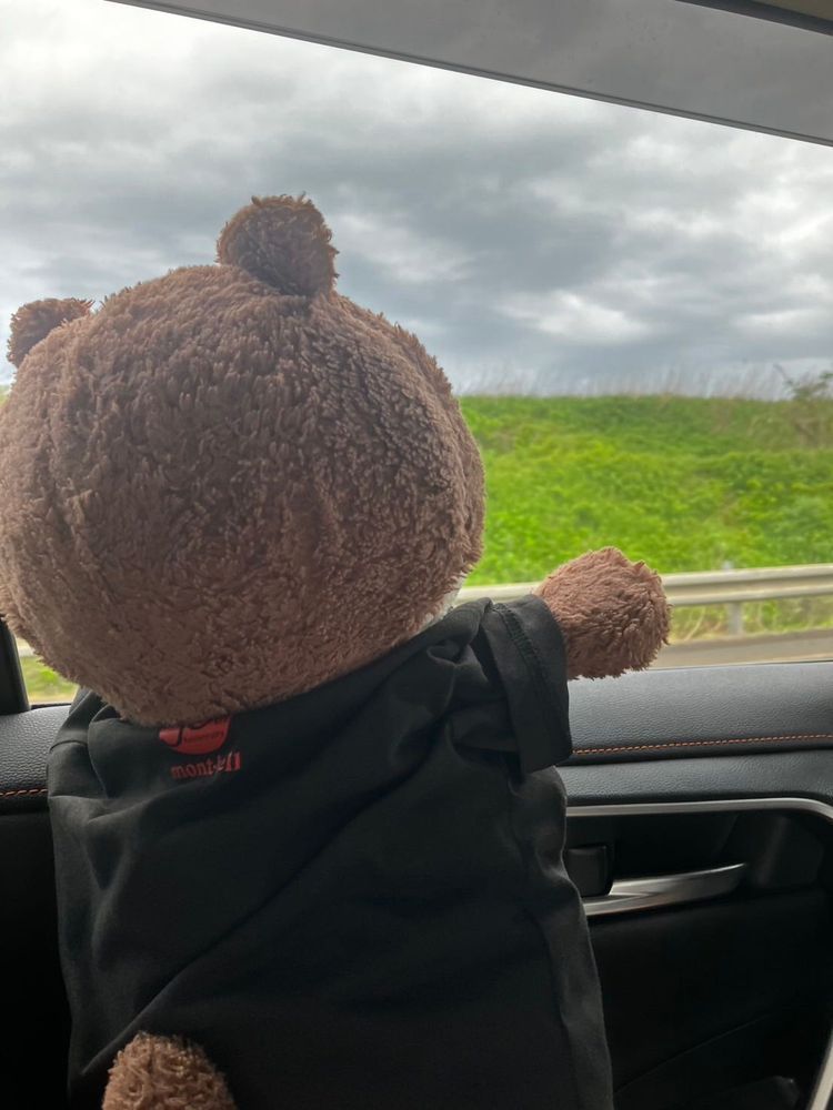 こんにちは、カワミちゃんだよ。今から旅行に出かけるよ🚗