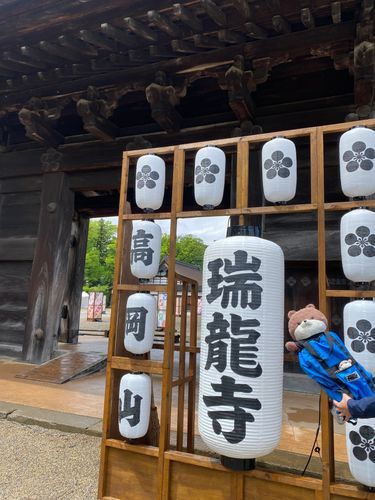 カワミちゃんだよ。旅行で富山県に来たよ❣️国宝の瑞龍寺って所に来たけど、大きな禅寺でびっくりしたよ。
