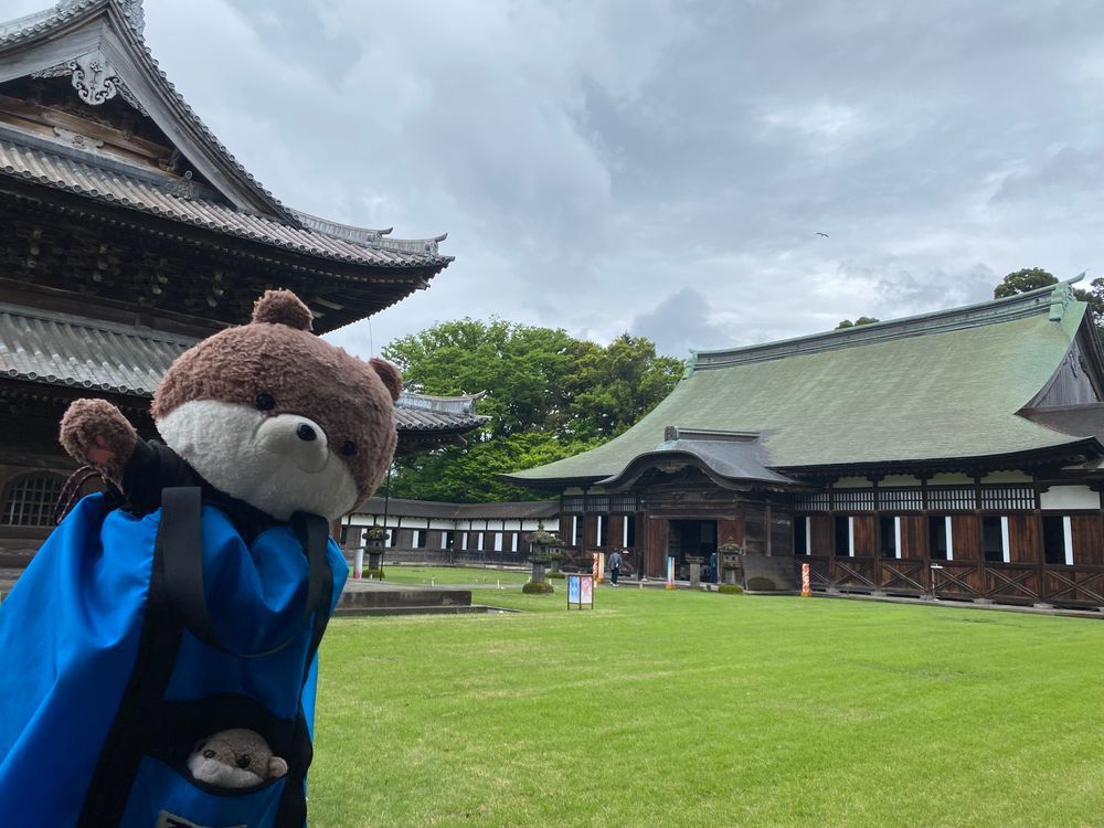 カワミちゃんだよ。旅行で富山県に来たよ❣️国宝の瑞龍寺って所に来たけど、大きな禅寺でびっくりしたよ。