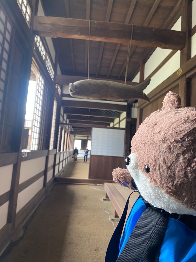カワミちゃんだよ。旅行で富山県に来たよ❣️国宝の瑞龍寺って所に来たけど、大きな禅寺でびっくりしたよ。