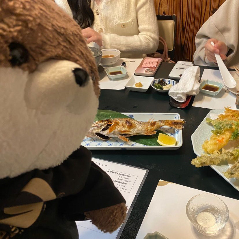 フトちゃんでーす❣️カワミちゃんたちがガラス美術館に行っている間、おかあさんによって、何故か近くの秋水美術館って所に連れて来られました。刀剣がたくさんありました…おかあさんは相変わらずはしゃいでいました…。
夜は新湊へ美味しいお魚を食べに来ました🐟