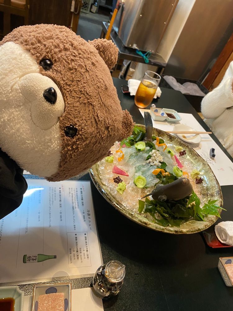 フトちゃんでーす❣️カワミちゃんたちがガラス美術館に行っている間、おかあさんによって、何故か近くの秋水美術館って所に連れて来られました。刀剣がたくさんありました…おかあさんは相変わらずはしゃいでいました…。
夜は新湊へ美味しいお魚を食べに来ました🐟