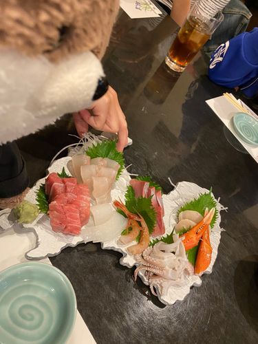 射水市内でお寿司を食べたよ。よく見たら、器が富山県の形になっているんだ！お刺身もお寿司も、何を食べてもとろけるようなおいしさだったよ🤤
お店の女将さんの接客が素晴らしくて、カワミちゃんを見るなり頭をなでなでして「いらっしゃい！よく来たね」って言ってくれたんだ。お孫さんもぬいぐるみ好きらしくて、しばらくぬいぐるみの話で盛り上がってしまったよ。旅先で、ぬいに優しいお店に会うと、楽しさも２倍になるよね。このお店、繁盛してほしいよ。