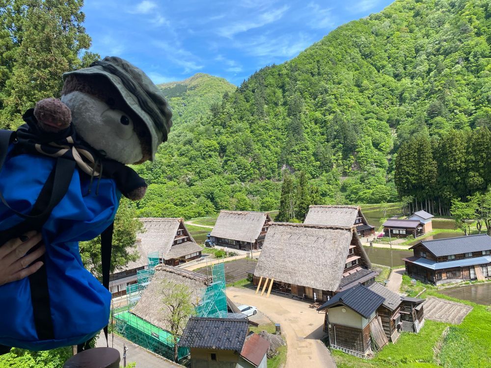 五箇山の合掌造りを見に来たよ！釘を一切使わずに家を建てているんだって。二枚目は、この地方に伝わる踊りで用いられる楽器で、「ささら」っていうんだって。板を紐で縛ってあるんだけど、音を出すのになかなかコツがいるんだ。
昔は、五箇山では鉄砲玉の原料である煙硝を作っていたそうだよ。山深い地で、幕府の目に触れないように加賀藩がこっそり作っていたらしいよ🔫