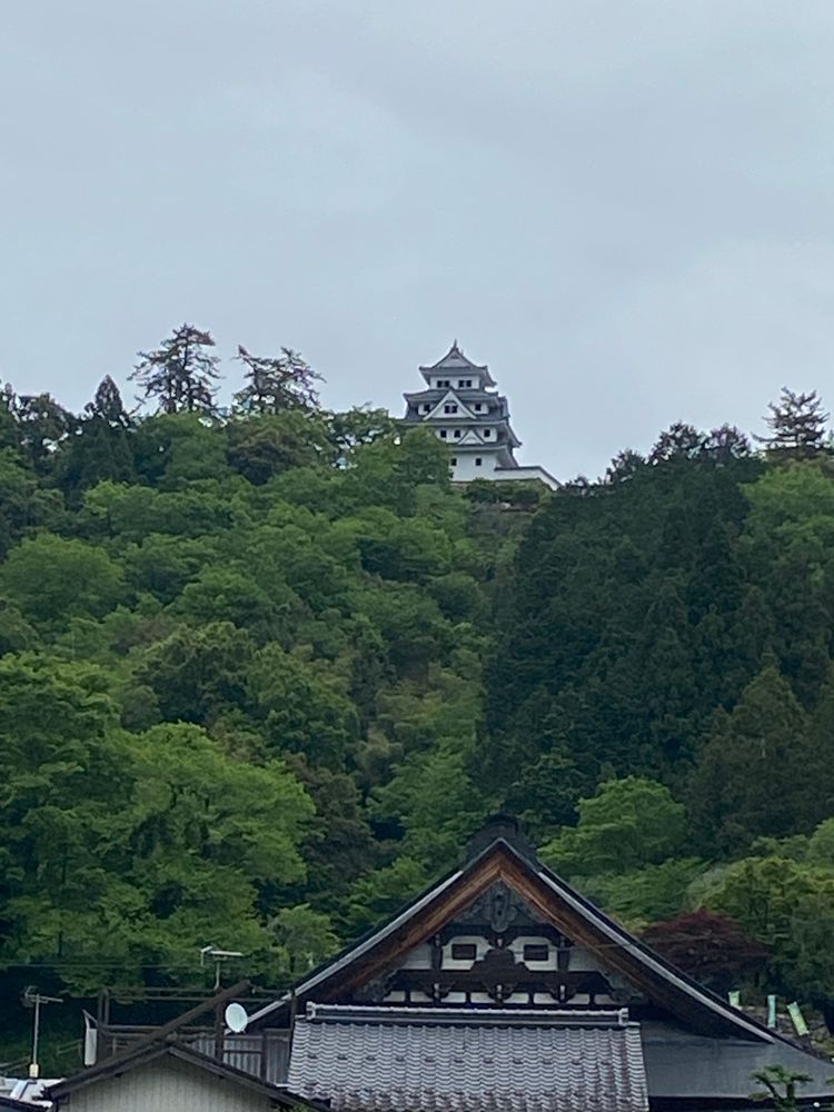 旅の最後は、岐阜県の郡上市に寄って帰ったよ。郡上踊りがすごく有名だよね。お城があったけど、おかあさんが疲れ切っていたから登るのは諦めて市内から写真を撮るだけにしたよ。レトロな町並もとても素敵だったよ☺️