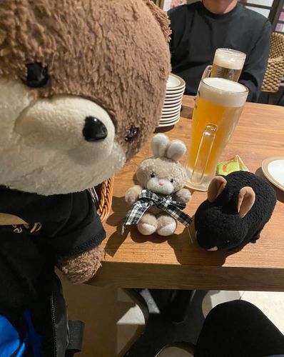 おかあさんの職場の飲み会について来たよ。何と、一緒に飲んだ人の中に、ぬい活をしている30代男性がいたよ‼️🤣カバンにぬいを三つつけて、飲み会が始まるやテーブルにうさちゃんを出したよ。触らせてもらったけど、ふわふわで可愛いうさちゃんだったよ。他のふわもことの出会いは楽しいね😆