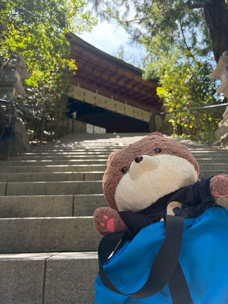 こんばんは、カワミちゃんだよ。奈良県の天川村に行ってきたよ❣️おかあさんが一度行ってみたかったんだって。天川弁財天っていう、有名な神社に行ったよ。内田康夫の有名な小説の舞台になった所だよ。