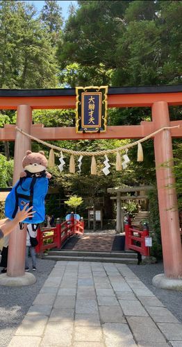 こんばんは、カワミちゃんだよ。奈良県の天川村に行ってきたよ❣️おかあさんが一度行ってみたかったんだって。天川弁財天っていう、有名な神社に行ったよ。内田康夫の有名な小説の舞台になった所だよ。