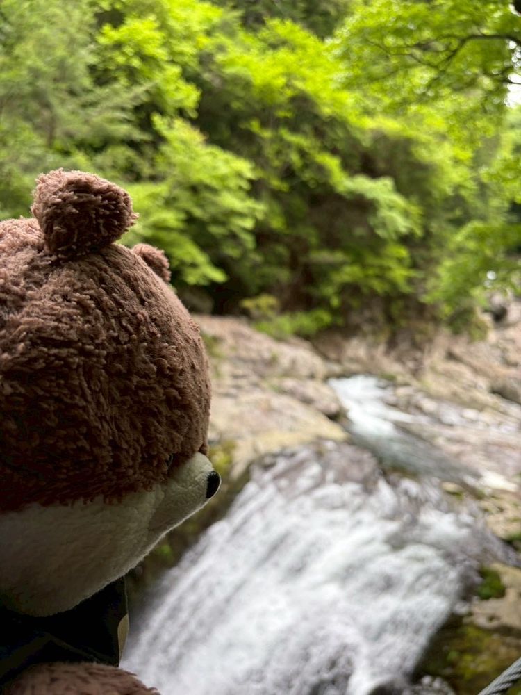 天川村その３だよ。
みたらい渓谷っていう所に来たよ。滝の流れがすごくて、引き込まれそうになって超怖かったよ🥶渓谷沿いの山道も、今にも🐻が出そうだったし…。そして駐車場まで来たら、「熊出没注意」の看板があったよ…。