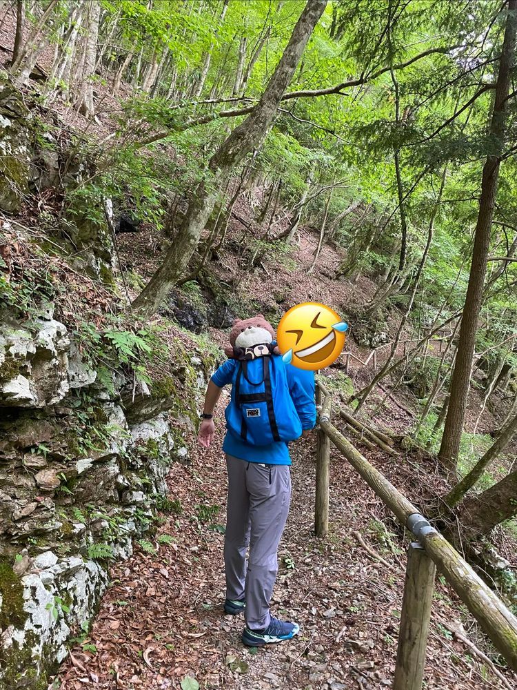 天川村その３だよ。
みたらい渓谷っていう所に来たよ。滝の流れがすごくて、引き込まれそうになって超怖かったよ🥶渓谷沿いの山道も、今にも🐻が出そうだったし…。そして駐車場まで来たら、「熊出没注意」の看板があったよ…。