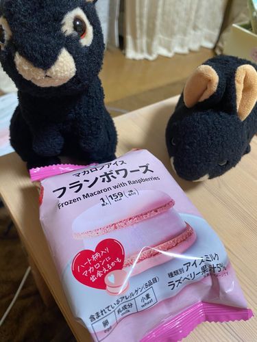 みなさんこんばんは、アマミン&フトちゃんです。今日もセブンイレブンのおすすめアイスを紹介するよ。その名もマカロンアイス❣️めちゃくちゃおいしい…何だこれは…。フランボワーズ味のマカロンに、フランボワーズアイスが挟んであって、アイスの中には更にラズベリーソースが入ってたよ。マカロンのじゅわっとした食感とアイスが最高だったよ🤤ぜひ食べてみてね❣️