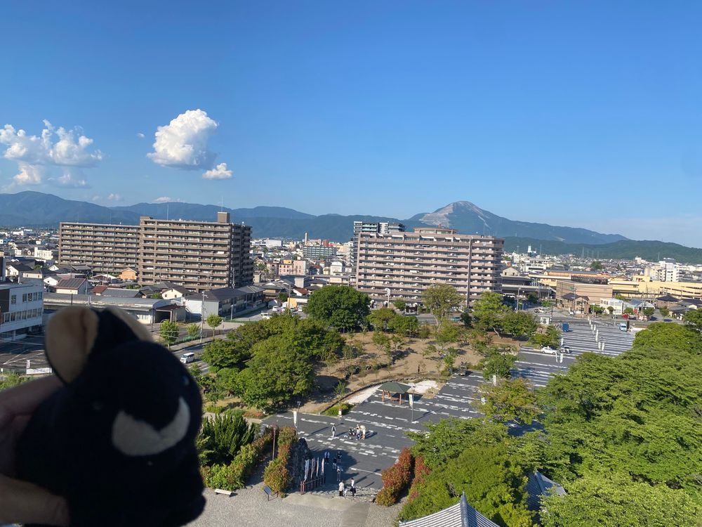 みなさんこんにちは、またまたフトちゃんです。今日は滋賀県長浜市にやってきました❣️長浜城に行きましたが、今話題の豊臣兄弟に関する展示物がたくさんでした。天守閣の最上階からは、琵琶湖の景色がよく見えました。三枚目のハゲ山は伊吹山だそうです。