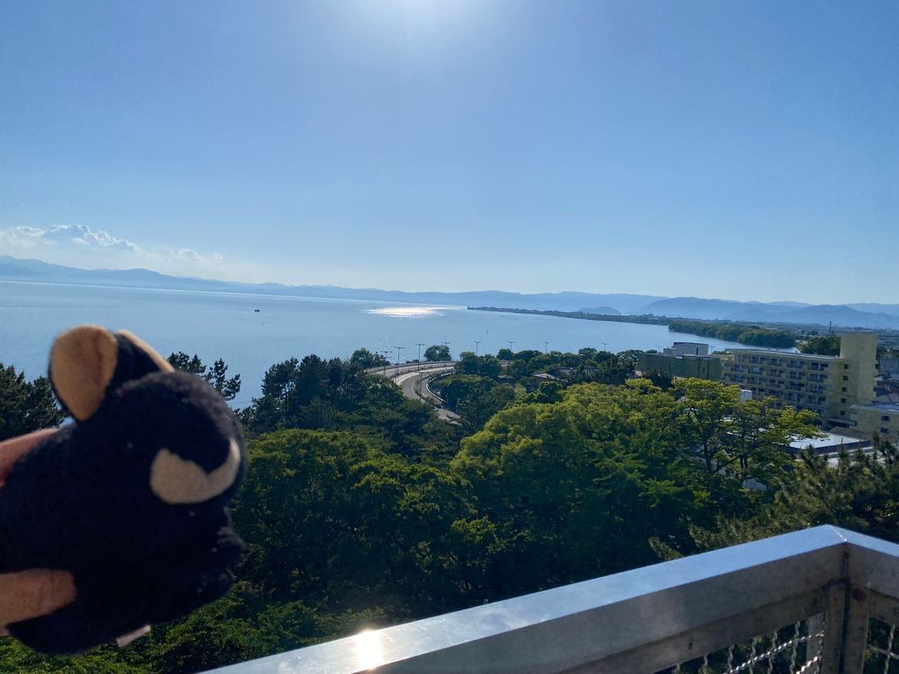 みなさんこんにちは、またまたフトちゃんです。今日は滋賀県長浜市にやってきました❣️長浜城に行きましたが、今話題の豊臣兄弟に関する展示物がたくさんでした。天守閣の最上階からは、琵琶湖の景色がよく見えました。三枚目のハゲ山は伊吹山だそうです。