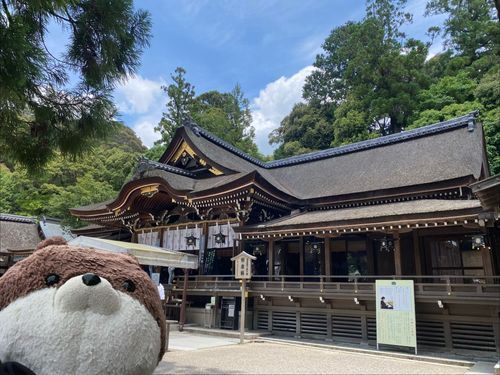 みなさんこんにちは、カワミちゃんだよ。今日は奈良県桜井市にある、大神神社ってところに行ったよ。大神神社はご神体が三輪山だから、おとうさんとおかあさんは登拝に出かけたよ。カワミちゃんは入山してないけど…。山道を往復１時間半かけて帰ってきて、おかあさんは汗びっしょりでヒーヒー言ってたよ。お昼は焼肉に連れてきてもらったよ🥩