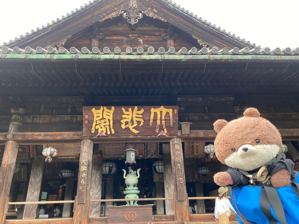 続いて、長谷寺って所に行ったよ。何も知らずに行ったんだけど、今日から紫陽花まつりが始まったそうで、すごい人だったよ❣️ご本尊の十一面観音も、大きさに圧倒されたよ。門前町にお土産物屋さんも充実してたからまた行きたいな〜💐