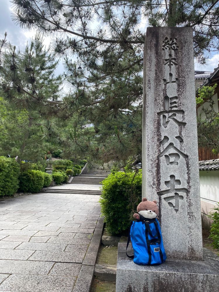 続いて、長谷寺って所に行ったよ。何も知らずに行ったんだけど、今日から紫陽花まつりが始まったそうで、すごい人だったよ❣️ご本尊の十一面観音も、大きさに圧倒されたよ。門前町にお土産物屋さんも充実してたからまた行きたいな〜💐