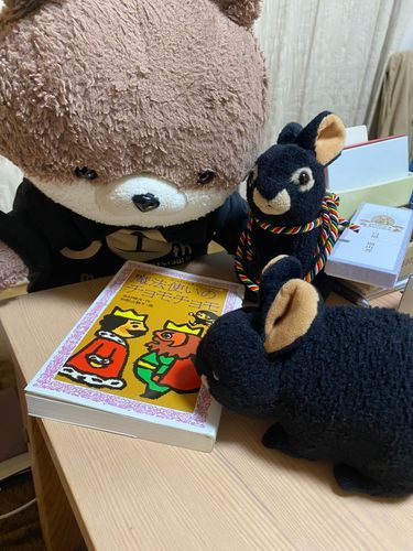 こんばんは、カワミちゃんだよ。最近おとうさんとおかあさんのお仕事が忙しくて構ってもらえないから、本を買ってもらったよ。おかあさんが子供の頃に読んでいた本なんだって📕
アマミンちゃんが体に巻いてるのは、こないだ長谷寺に行った時にお寺でもらった縄❓だよ。優勝した土佐犬みたい、と言われているよ…