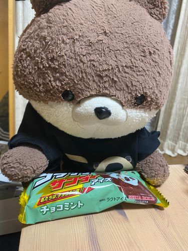 一週間疲れたね😓ご褒美にアイスを食べているよ。二枚目の写真は、おねえちゃんが通販で買った帽子を借りたカワミちゃんだよ。びっくりするくらい似合ってるよね…。