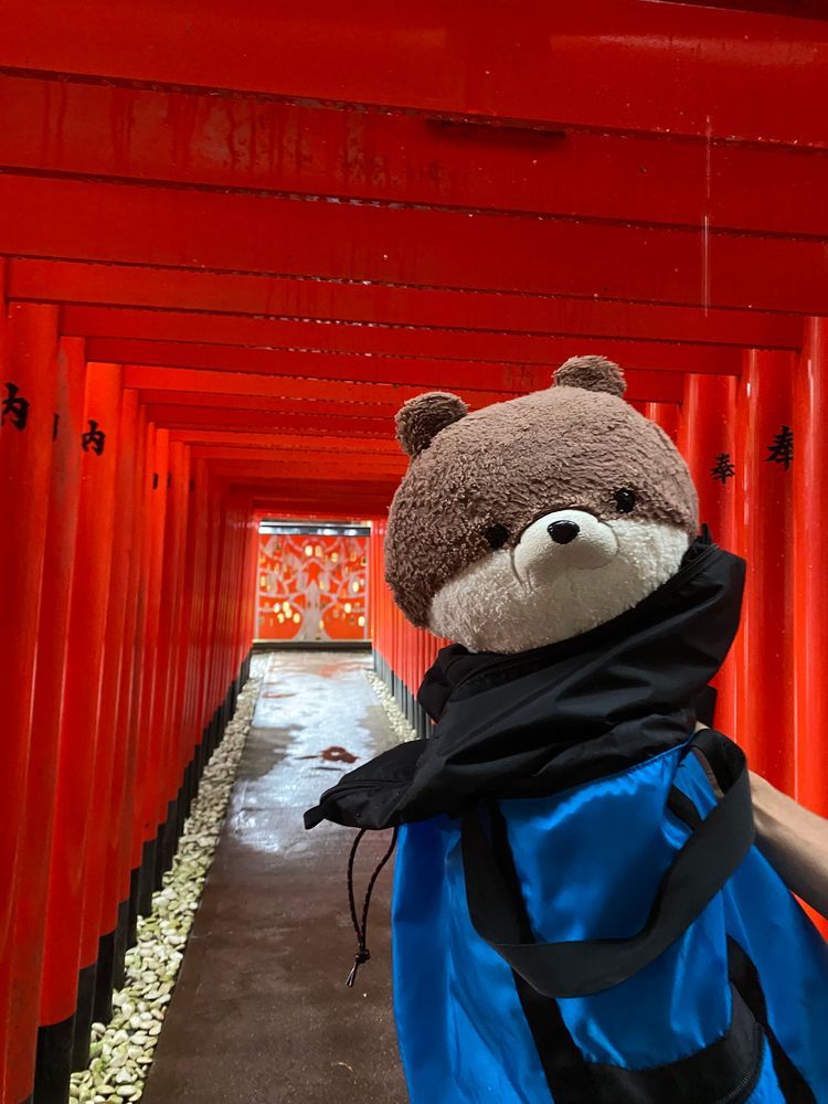 みなさんこんにちは、カワミちゃんだよ。今日は雨の中、滋賀県の多賀大社って所に行ったよ‼️めっちゃカッコよくて立派な神社だったよ。最後の写真は、カワミちゃんをリュックに入れて傘をさすおとうさんだよ。こうしてると雨の日のお出かけも濡れないよ☂️