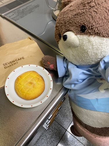今日のおやつはこれ！セブンイレブンで売ってる、「メロンパンみたいなチョコクッキー」だよ。期間限定販売らしいけど、めちゃおいしいよ❣️カワミちゃんと映ってるから小さく見えるけど、厚みもあるし結構大きいんだ。1人で一個食べたらお腹いっぱいになるから、おかあさんとごしゅじんが半分こしていたよ。