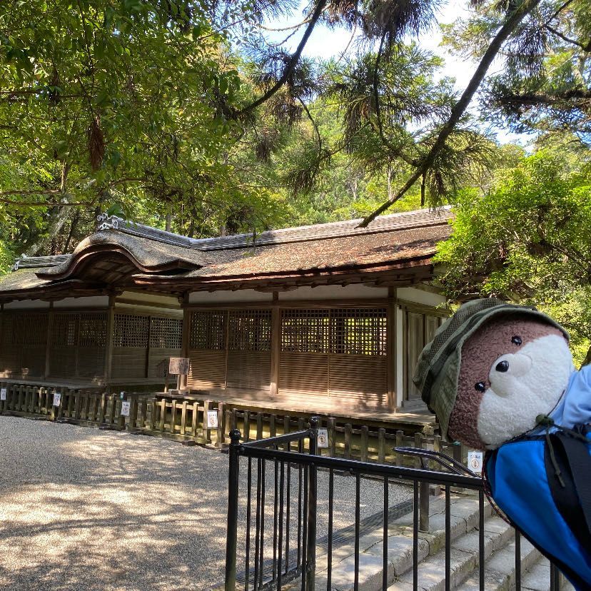カワミちゃんだよ。今日は奈良県天理市にある石上神宮って所にやってきたよ❣️三枚目の写真は、境内で飼われている烏骨鶏たちだよ。初めて見たけど、歩くのが速くて怖かったよ‼️