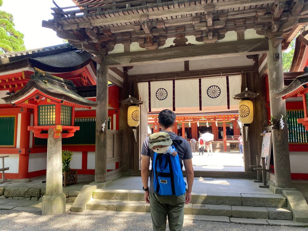 カワミちゃんだよ。今日は奈良県天理市にある石上神宮って所にやってきたよ❣️三枚目の写真は、境内で飼われている烏骨鶏たちだよ。初めて見たけど、歩くのが速くて怖かったよ‼️