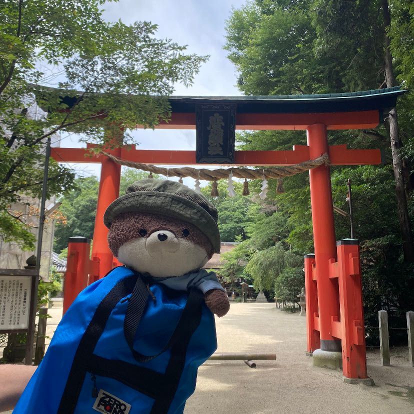 こんにちは、カワミちゃんだよ。こないだ行った石上神宮に続いて行った神社に、超巨大なキノコが生えていたよ🍄‼️でかすぎて最初は気づかずにスルーしたよ。カワミちゃんの頭よりも大きいんだ…。三枚目の写真は巨大キノコの写真を撮るおかあさんだよ。これを見たら、このキノコがいかに大きいかがわかるよね😳☺️