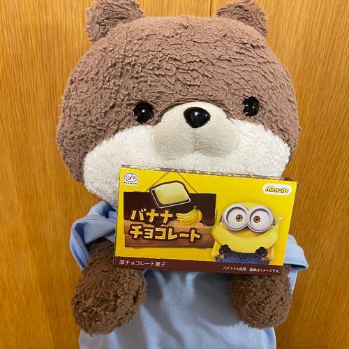 みなさんこんばんは、カワミちゃんだよ。コンビニでミニヨンのチョコレートを見つけたよ❣️美味しかったから見つけたら食べてみてね。二枚目は、ごしゅじんがオムライスに描いたカワミちゃんの絵だよ🥚
