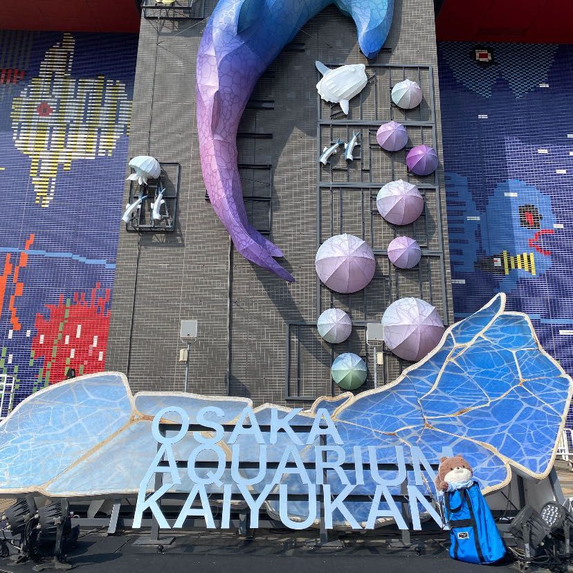 こんにちは、カワミちゃんだよ。今日は大阪の海遊館っていう水族館に行ったよ。三枚目はちょっと見づらいけど、奥でお姉さんがコツメカワウソに餌をあげているんだ。本物のカワウソは動きが激しくて怖いよ。四枚目は華麗に泳ぐペンギンだよ🐧
カワミちゃんが入口で写真を撮っていたら、早速他のお客さんに「可愛い」と言われたよ❣️