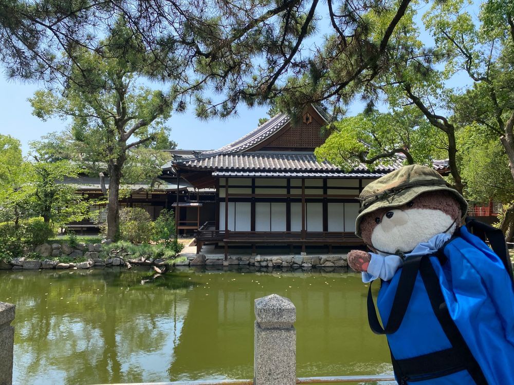 大阪の住吉大社に行ったよ⛩️国宝の社殿がめちゃカッコよかったよ。三枚目は、住吉大社の近くで食べたお好み焼きだよ。大将がとても面白い人だったよ。大将の娘さんはしきりにカワミちゃんを可愛い！と褒めてくれたよ。良いお店だよ。