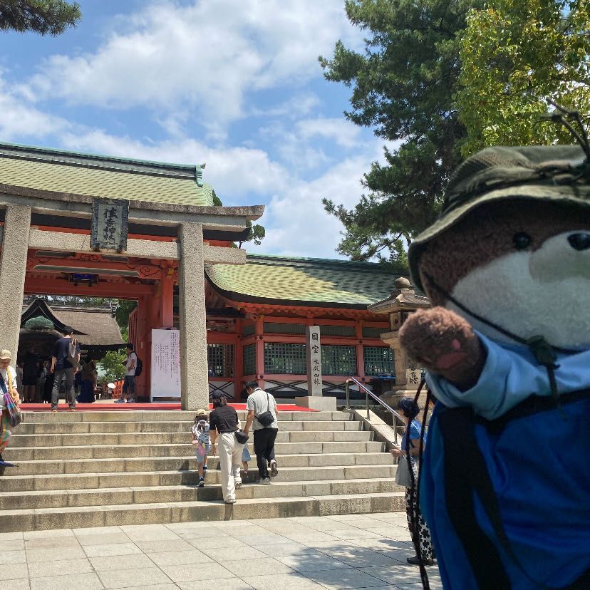 大阪の住吉大社に行ったよ⛩️国宝の社殿がめちゃカッコよかったよ。三枚目は、住吉大社の近くで食べたお好み焼きだよ。大将がとても面白い人だったよ。大将の娘さんはしきりにカワミちゃんを可愛い！と褒めてくれたよ。良いお店だよ。