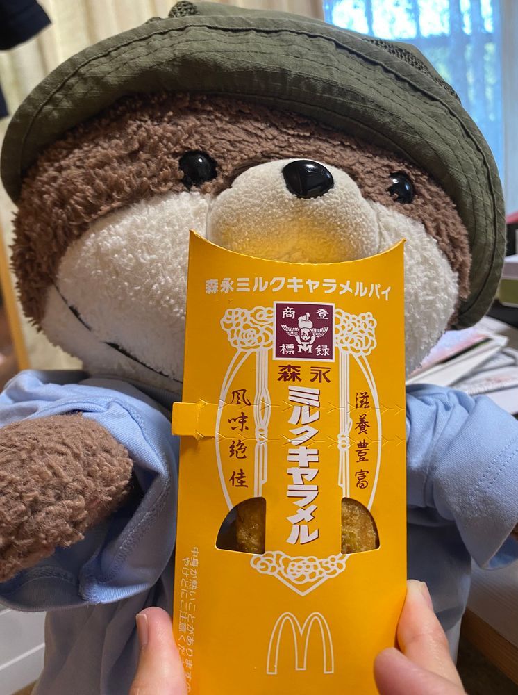 こんにちは、カワミちゃんだよ。今日は長岡京市のお寺にやってきたよ。紅葉の名所で、秋はすごい人出になるんだって。確かに、青紅葉がすごくきれいだったよ。最後の写真は、マクドナルドで買ってもらった期間限定キャラメルパイだよ❣️