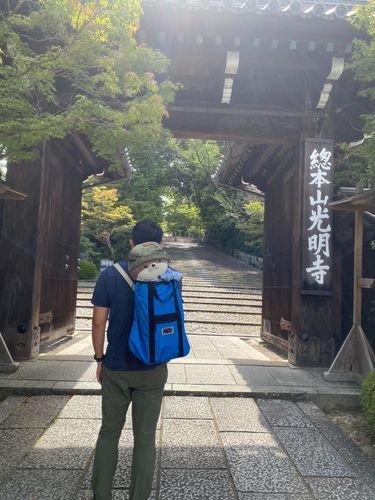 こんにちは、カワミちゃんだよ。今日は長岡京市のお寺にやってきたよ。紅葉の名所で、秋はすごい人出になるんだって。確かに、青紅葉がすごくきれいだったよ。最後の写真は、マクドナルドで買ってもらった期間限定キャラメルパイだよ❣️