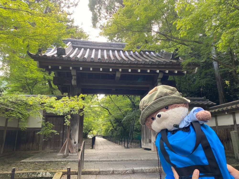 こんにちは、カワミちゃんだよ。今日は長岡京市のお寺にやってきたよ。紅葉の名所で、秋はすごい人出になるんだって。確かに、青紅葉がすごくきれいだったよ。最後の写真は、マクドナルドで買ってもらった期間限定キャラメルパイだよ❣️