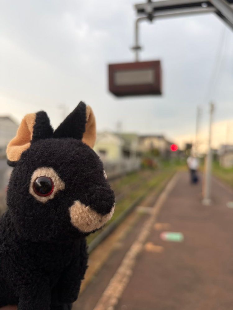 みなさんこんにちは、アマミンです。今週はまたおとうさんに連れられて関東に出張でした。茨城県結城市と、栃木県宇都宮市に行ってきました。結城市は、途中の駅が、めちゃ雰囲気があって素敵でした。栃木県はまたイチゴを食べに行きたいです🍓