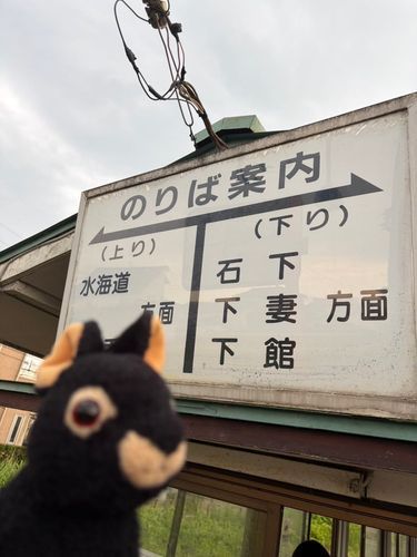 みなさんこんにちは、アマミンです。今週はまたおとうさんに連れられて関東に出張でした。茨城県結城市と、栃木県宇都宮市に行ってきました。結城市は、途中の駅が、めちゃ雰囲気があって素敵でした。栃木県はまたイチゴを食べに行きたいです🍓