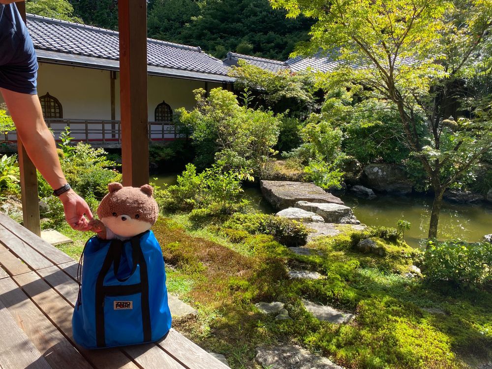 お久しぶり、カワミちゃんだよ。昨日は京都市内にある、岩倉実相院てお寺に行ったよ。写真は撮れないけど、磨き上げられた床に映った床紅葉ってのが有名なんだって。ここは京都市内でも北部にあるから、市内の中心部より2度くらい涼しいんだ。風も吹いて快適だったよ🌬️
隣にある神社にも寄ったんだけど、「クマ注意」と書かれていたよ…🐻