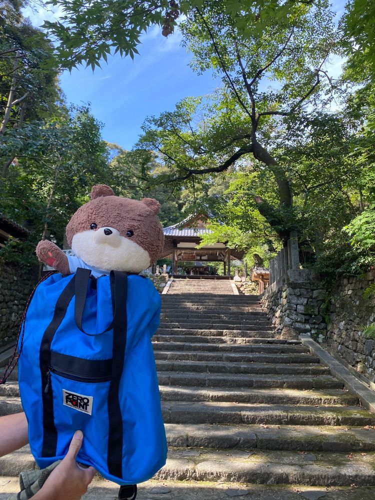 お久しぶり、カワミちゃんだよ。昨日は京都市内にある、岩倉実相院てお寺に行ったよ。写真は撮れないけど、磨き上げられた床に映った床紅葉ってのが有名なんだって。ここは京都市内でも北部にあるから、市内の中心部より2度くらい涼しいんだ。風も吹いて快適だったよ🌬️
隣にある神社にも寄ったんだけど、「クマ注意」と書かれていたよ…🐻