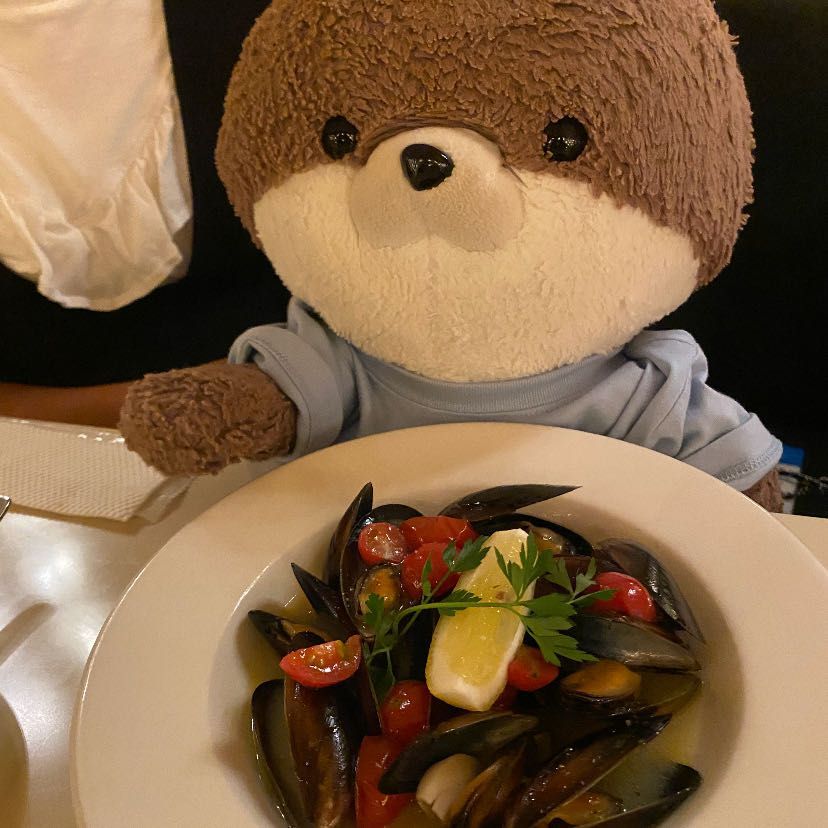 こんばんは、カワミちゃんだよ。今日はおとうさんのお誕生会をしにイタリアンのお店に連れて来てもらったよ‼️お店の雰囲気もお料理も最高だったよ。おとうさんお誕生日おめでとう🎂