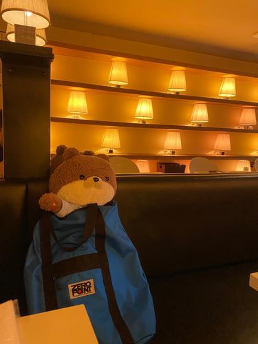 こんばんは、カワミちゃんだよ。今日はおとうさんのお誕生会をしにイタリアンのお店に連れて来てもらったよ‼️お店の雰囲気もお料理も最高だったよ。おとうさんお誕生日おめでとう🎂