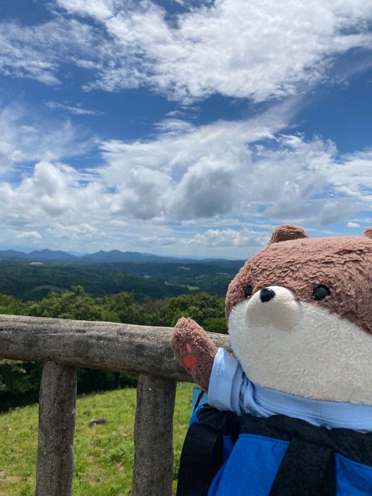 奈良県山添村にある鍋倉渓谷って所に来たよ。この岩の下を小川が流れてるらしく、耳を澄ますと水の音が聞こえるんだって❣️山頂まで登ったら、展望台があって三重県の方まで見えたよ。最後の写真は、道の駅で抹茶ソフトを食べるカワミちゃんだよ。お団子やチョコも入ってておいしかったよ。