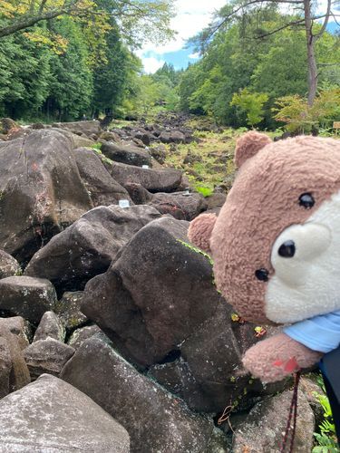 奈良県山添村にある鍋倉渓谷って所に来たよ。この岩の下を小川が流れてるらしく、耳を澄ますと水の音が聞こえるんだって❣️山頂まで登ったら、展望台があって三重県の方まで見えたよ。最後の写真は、道の駅で抹茶ソフトを食べるカワミちゃんだよ。お団子やチョコも入ってておいしかったよ。